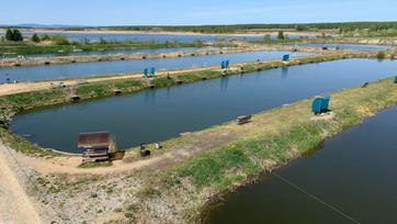 рыболовный комплекс «Азарт» - поймать рыбку, закоптить, посидеть возле воды на качелях, покормить рыбу и животных